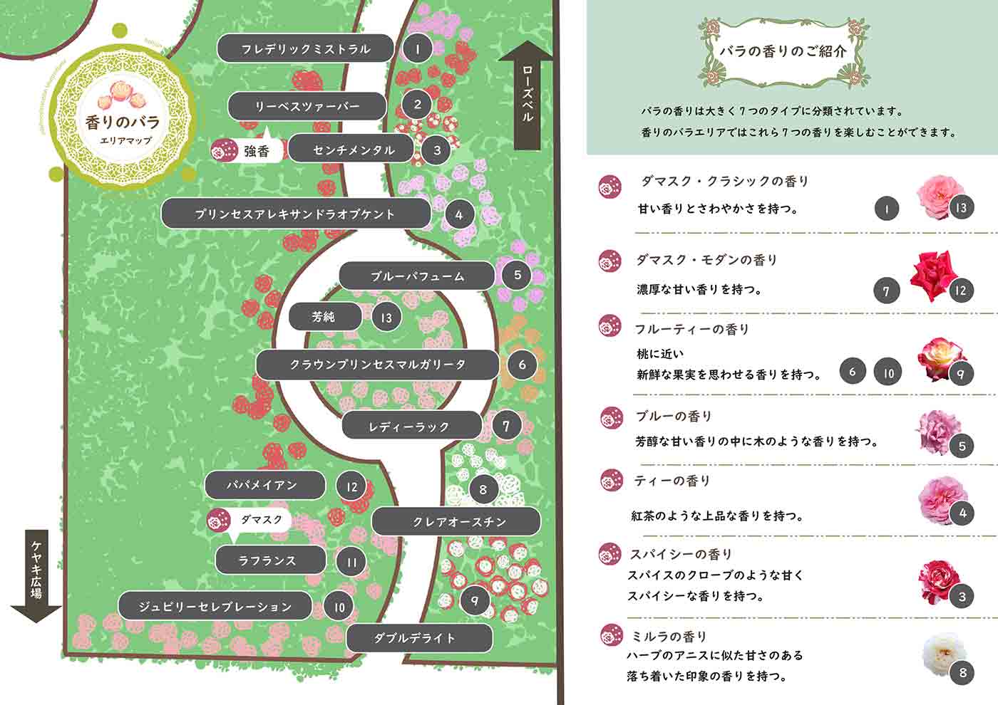 東沢バラ公園香りのバラエリアマップ